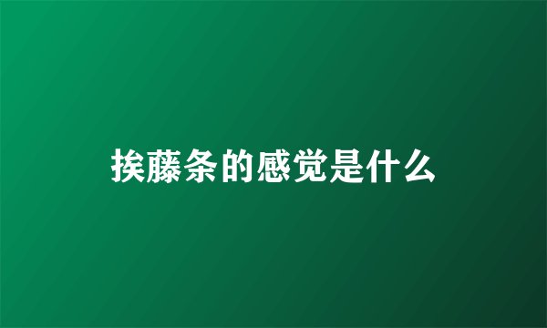 挨藤条的感觉是什么