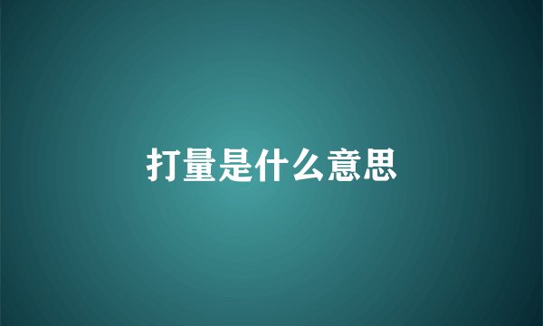 打量是什么意思