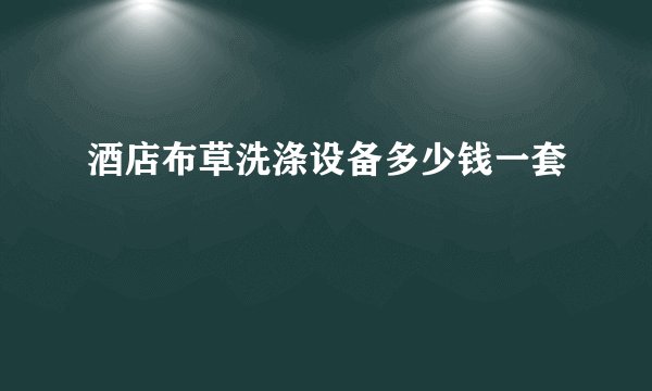 酒店布草洗涤设备多少钱一套