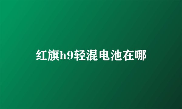 红旗h9轻混电池在哪