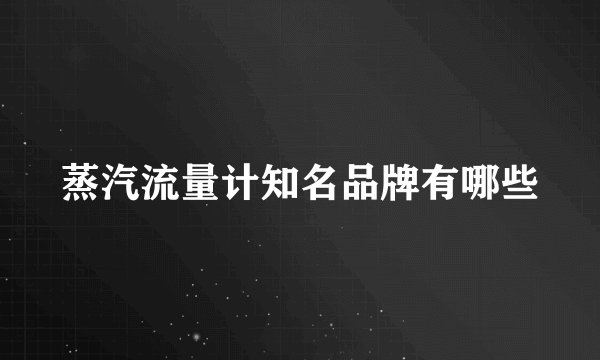 蒸汽流量计知名品牌有哪些