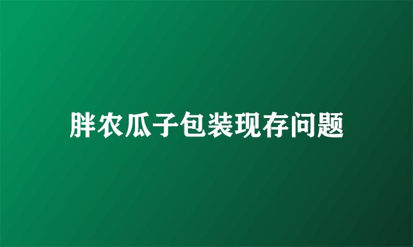 胖农瓜子包装现存问题