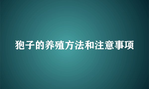 狍子的养殖方法和注意事项