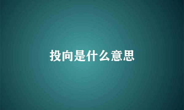 投向是什么意思