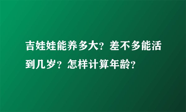 吉娃娃能养多大？差不多能活到几岁？怎样计算年龄？