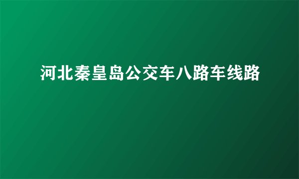 河北秦皇岛公交车八路车线路