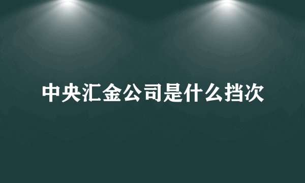 中央汇金公司是什么挡次