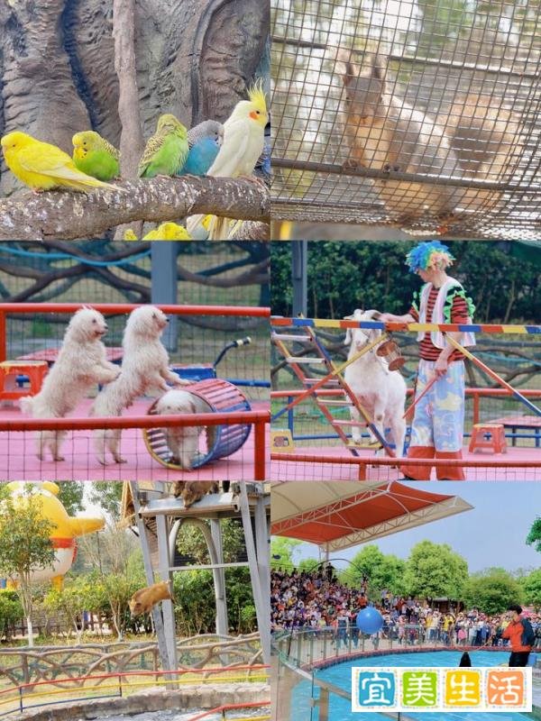 踏青赏花,浙江省内团建旅游好去处推荐!