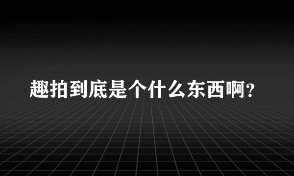 趣拍到底是个什么东西啊？