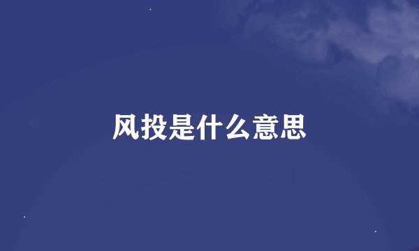 风投是什么意思