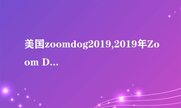 美国zoomdog2019,2019年Zoom Dog在美国的成功