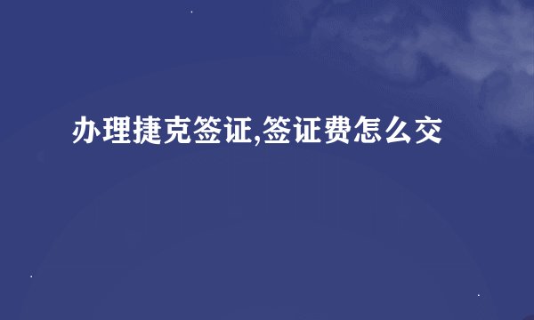 办理捷克签证,签证费怎么交