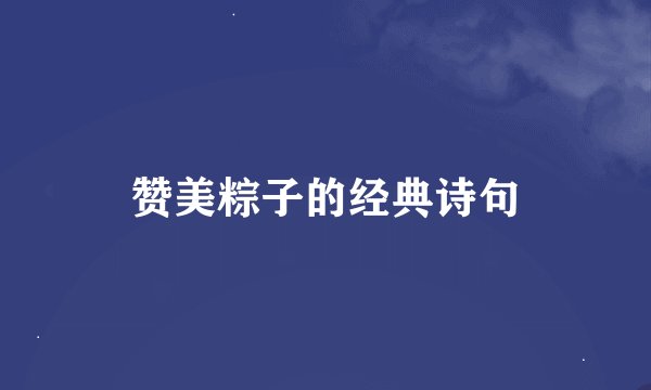 赞美粽子的经典诗句