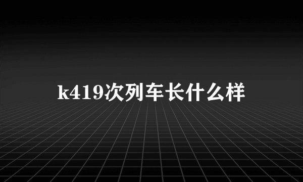k419次列车长什么样