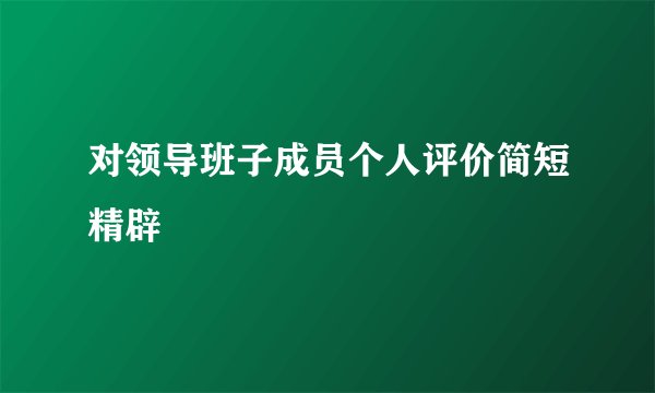 对领导班子成员个人评价简短精辟