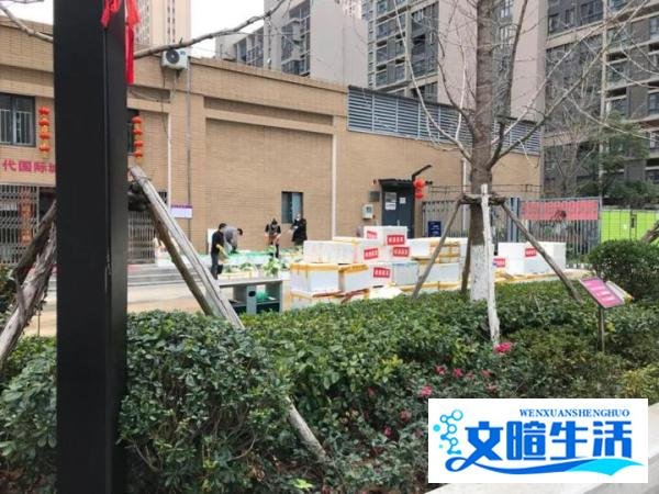 武汉封城日记-封城一月的街道