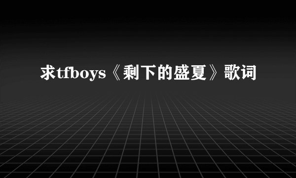 求tfboys《剩下的盛夏》歌词