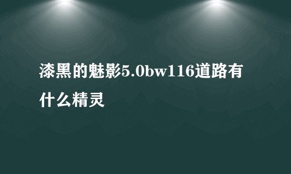 漆黑的魅影5.0bw116道路有什么精灵