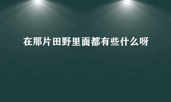 在那片田野里面都有些什么呀