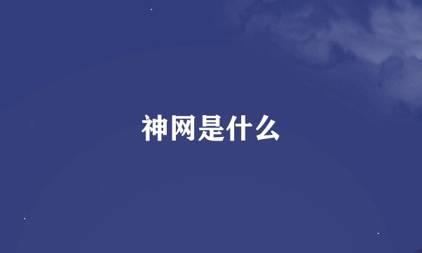神网是什么