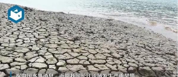 高温下 近600年前摩崖造像露出江面 这是咋情况？