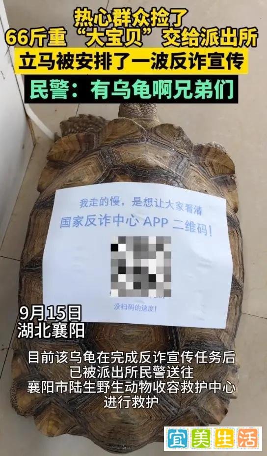 民众捡到66斤“大宝贝”,民警:快安排一波“反诈宣传”