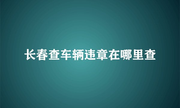 长春查车辆违章在哪里查