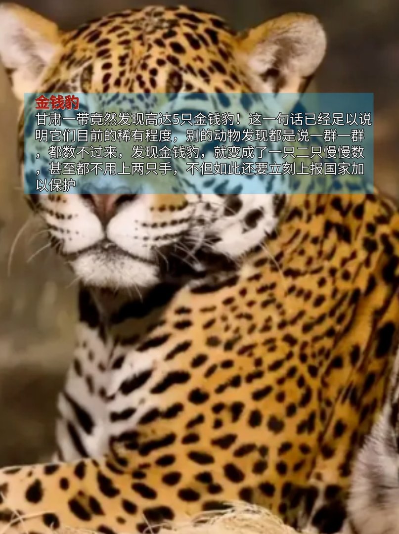 第一名已经名存实亡,最稀有动物排行榜