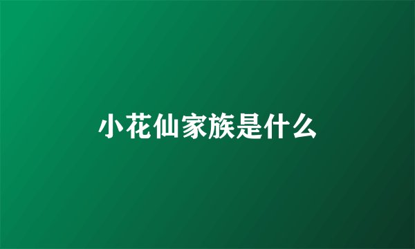 小花仙家族是什么