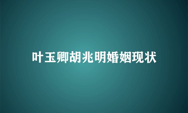 叶玉卿胡兆明婚姻现状