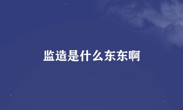 监造是什么东东啊