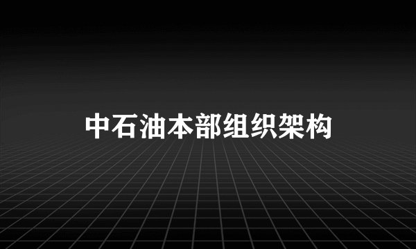 中石油本部组织架构