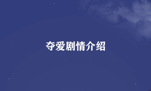 夺爱剧情介绍
