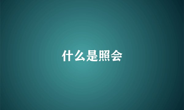 什么是照会
