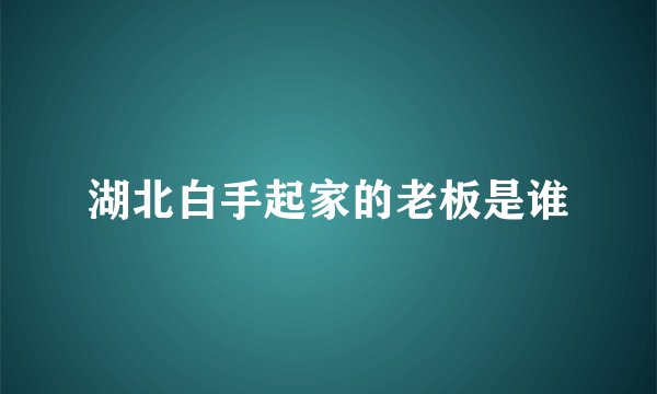 湖北白手起家的老板是谁