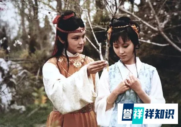 两代一姐罕见同台,董卿一番话,倪萍瞬间泪奔……