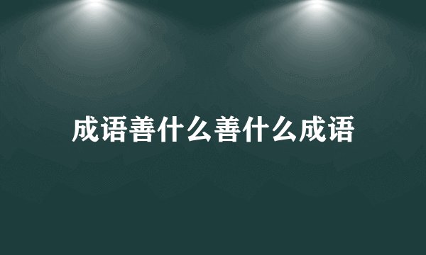 成语善什么善什么成语