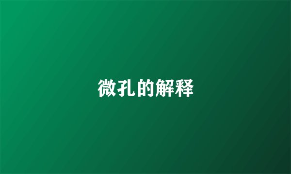 微孔的解释