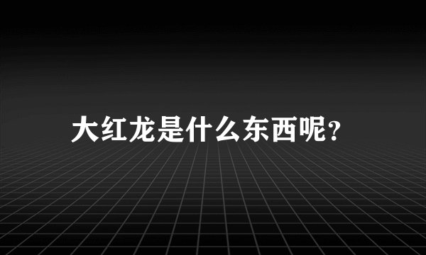 大红龙是什么东西呢？