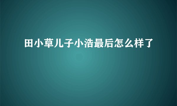 田小草儿子小浩最后怎么样了