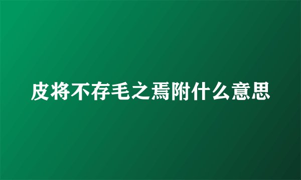 皮将不存毛之焉附什么意思