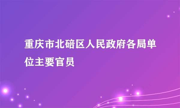 重庆市北碚区人民政府各局单位主要官员