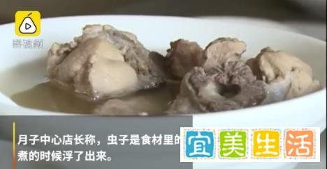 月子中心一个月两万,你好意思让我坐月子的时候吃蛆?