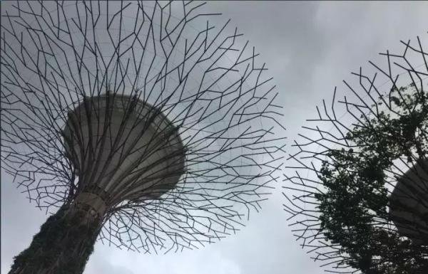 《三字经》---三才者 天地人 三光者 日月星 三纲者 君臣义 父子亲 夫妇顺