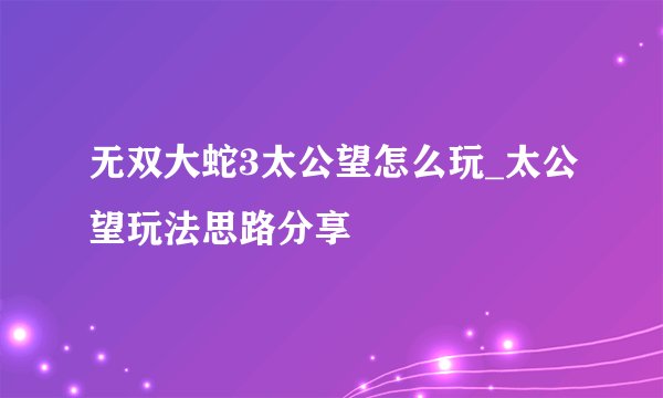 无双大蛇3太公望怎么玩_太公望玩法思路分享