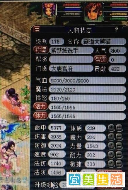 梦幻大唐怎么加点