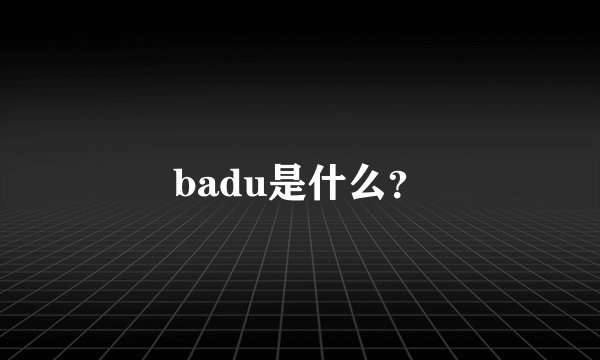badu是什么？