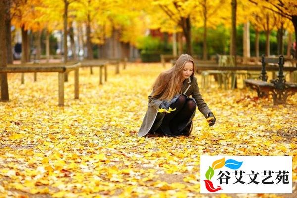 十一月的雨