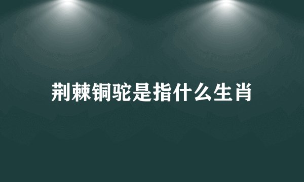 荆棘铜驼是指什么生肖
