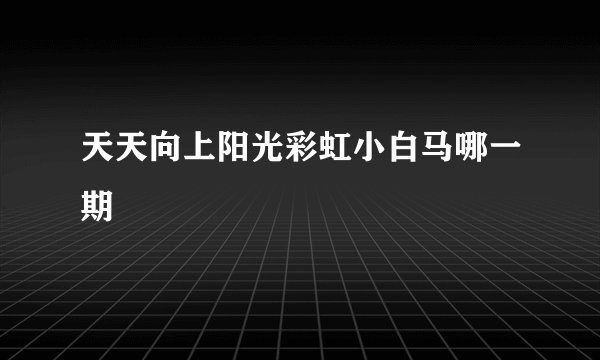 天天向上阳光彩虹小白马哪一期